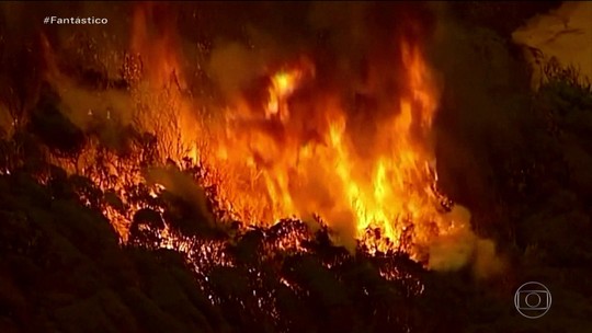 Pior temporada de incêndios: Fantástico atravessa áreas afetadas pelas chamas na Austrália