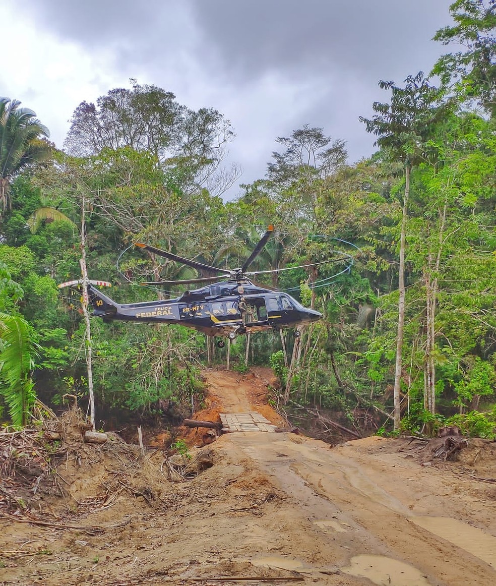 Operação para destruir pontes irregulares contou com apoio aéreo  — Foto: PF/Divulgação