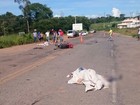 Acidente entre moto e caminhonete deixa casal morto na GO-010
