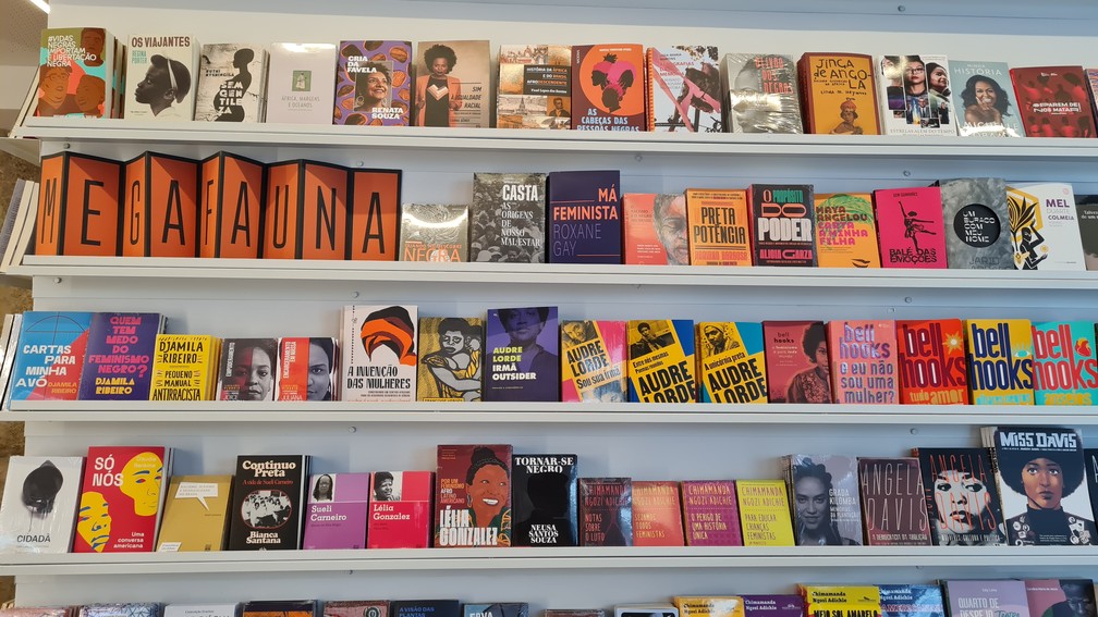 Detalhe de seleção de livros da Megafauna — Foto: Fernanda Martinez