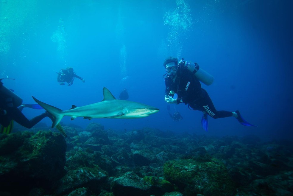Eliezer nada com tubarões em Noronha — Foto: Reprodução/Instagram