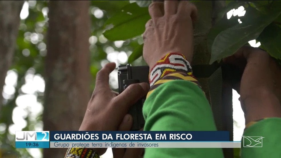 Índios Kaapor instalam câmeras pela floresta no intuito de encontrar possíveis madeireiros nas terras indígenas — Foto: Reprodução/TV Mirante