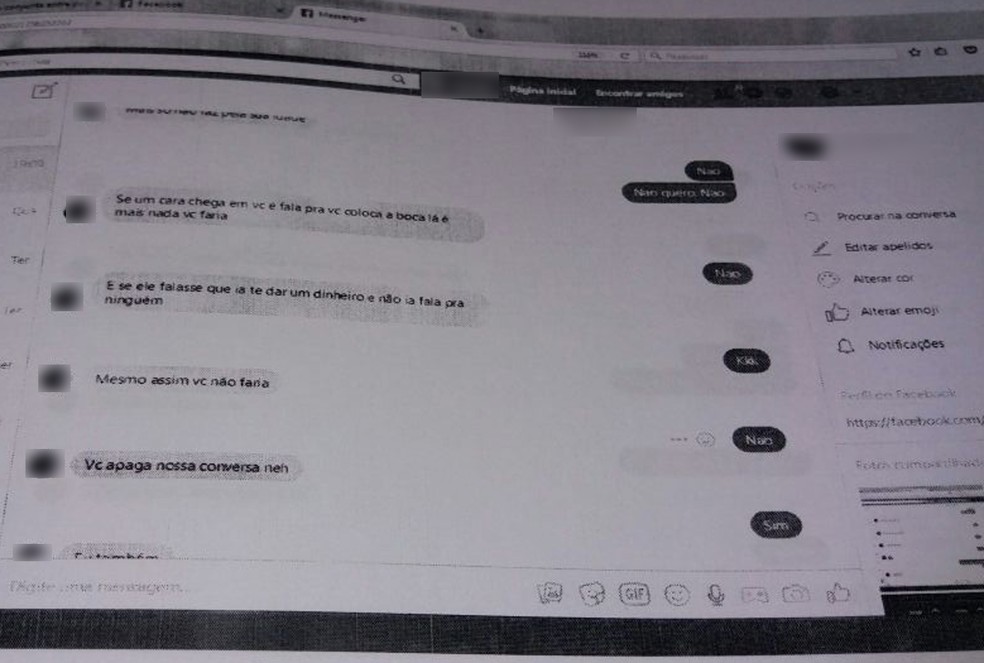 Troca de mensagens foi vista por meio do perfil da primeira vítima (Foto: Reprodução/Polícia Civil)