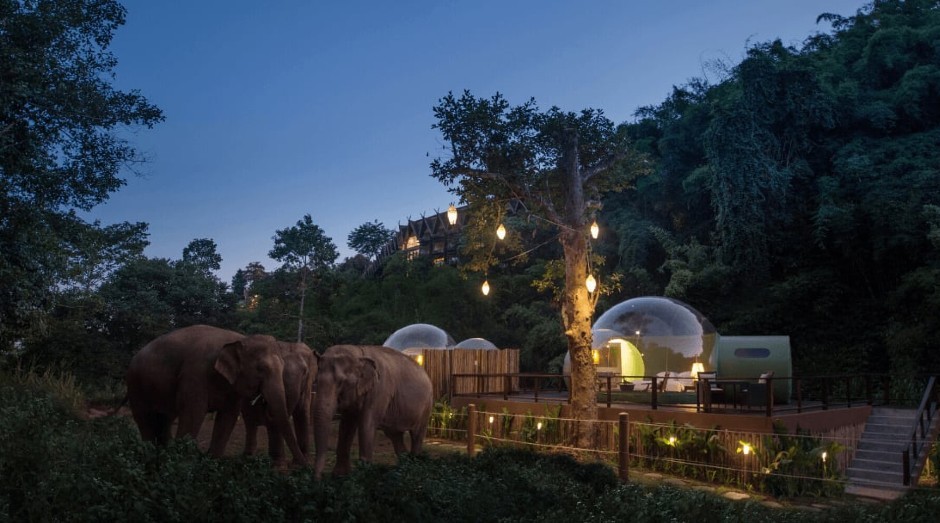 As Jungle Bubbles, do Anantara Golden Triangle Elephant Camp & Resort, oferecem hospedagem em meio à natureza (Foto: Divulgação)