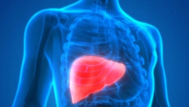 A hepatite é a inflamação do fígado e é a segunda maior doença infecciosa letal do mundo (Foto: Getty Images via BBC)