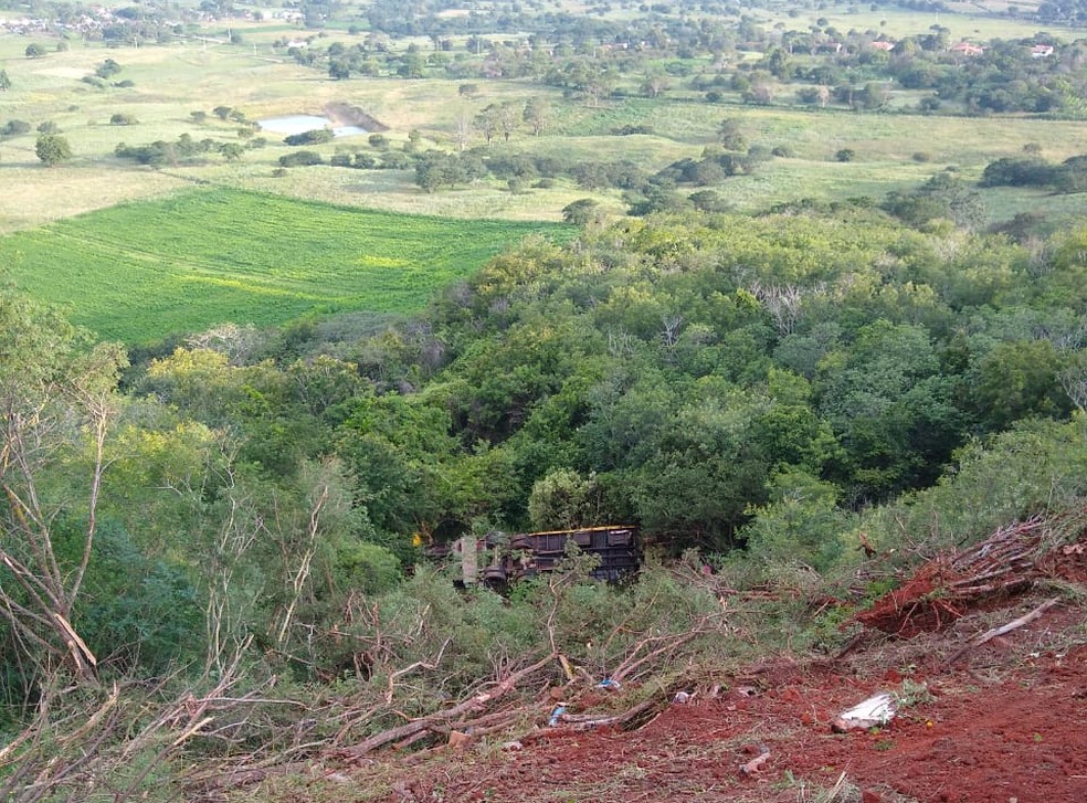 Caminhão boiadeiro caiu em ribanceira em Palmeira dos Índios, Alagoas  — Foto: Corpo de Bombeiros/Ascom