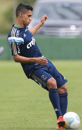 Erik Palmeiras (Foto: César Greco / Ag. Palmeiras / Divulgação)