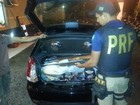 PRF prende quatro suspeitos por porte ilegal de armas no Pará