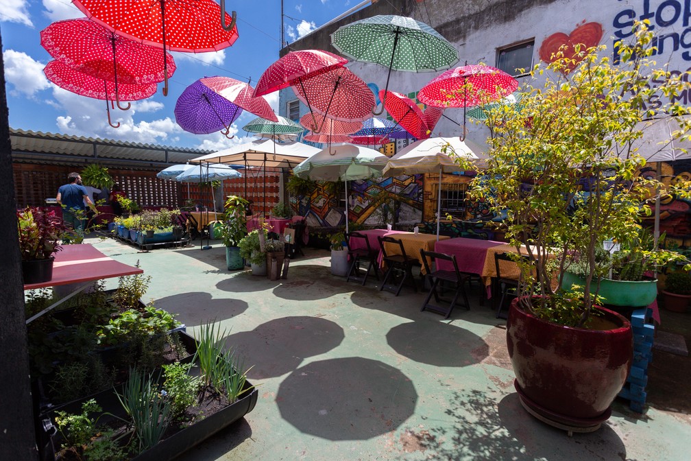 Bistrô Mãos de Maria, em Paraisópolis, usa produtos da horta na laje — Foto: Marcelo Brandt/G1