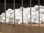 Lixo hospitalar volta a ficar acumulado em pátio do Hospital Geral de Palmas