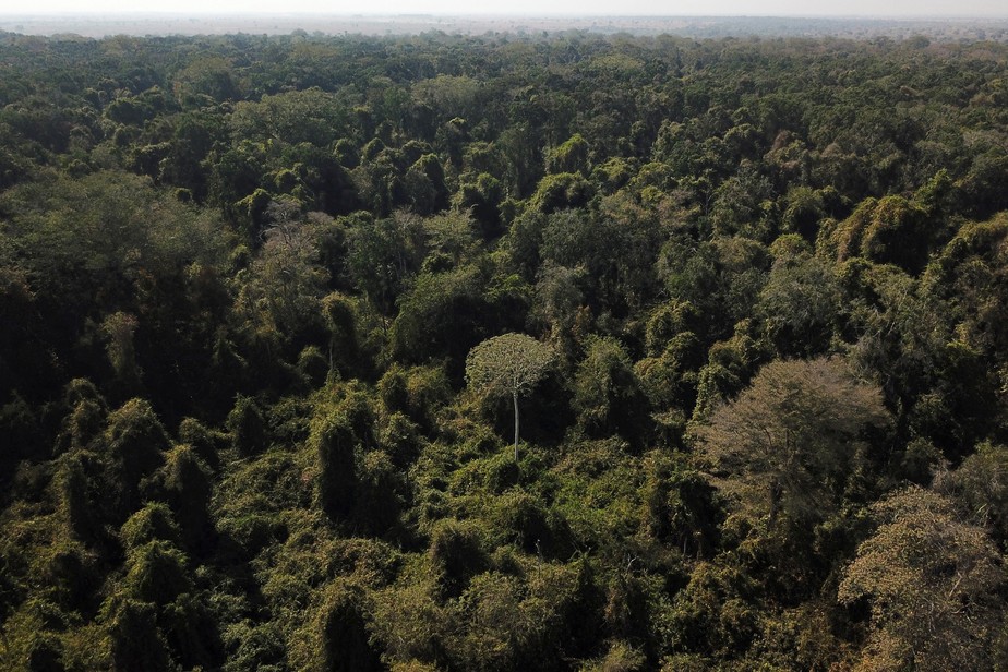 Vista aérea de área da fronteira do Cerrado com a Floresta Amazônica