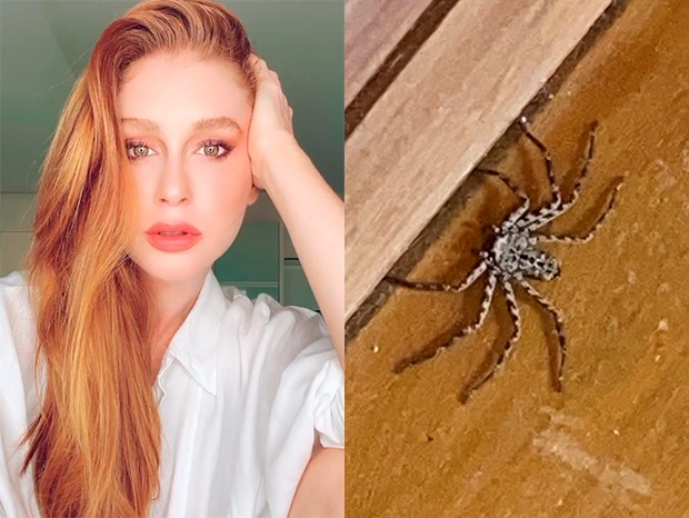 Marina Ruy Barbosa encontra aranha em seu quarto (Foto: Reprodução/Instagram)