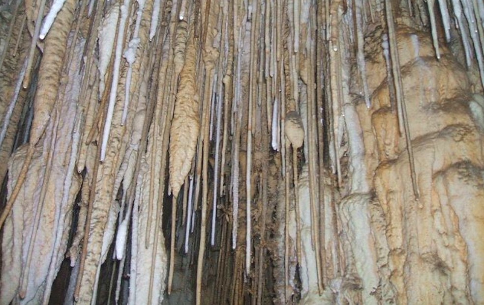 Parque Estadual de Terra do Ronca proporciona salões de estalactites no interior das grutas — Foto: Ana Carolina Rabelo