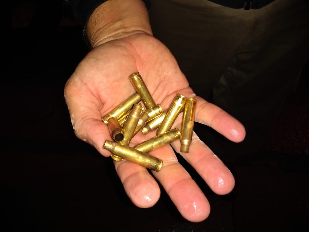  Foram apreendidas munições de fuzis, submetrelhadoras, escopetas e pistolas — Foto: Samir Alouan/Pontal Online/Divulgação