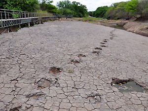 Vale dos Dinossauros, em Sousa (PB), vai ganhar melhorias após convênio do governo estadual com a Petrobras (Foto: Francisco França/Secom-PB)