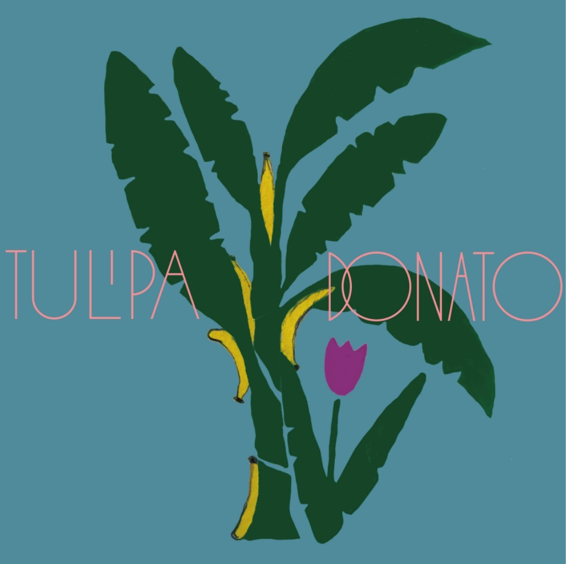 Compacto Tulipa Ruiz e João Donato com capa de Tereza Bettinardi (Foto: divulgação)