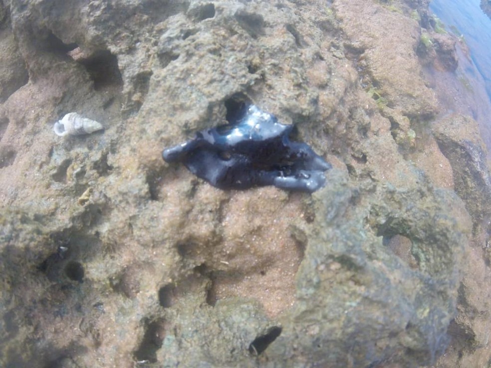 Em Praia do Forte, região turística da cidade de Mata de São João, mancha de óleo afetou recifes — Foto: Arquivo pessoal