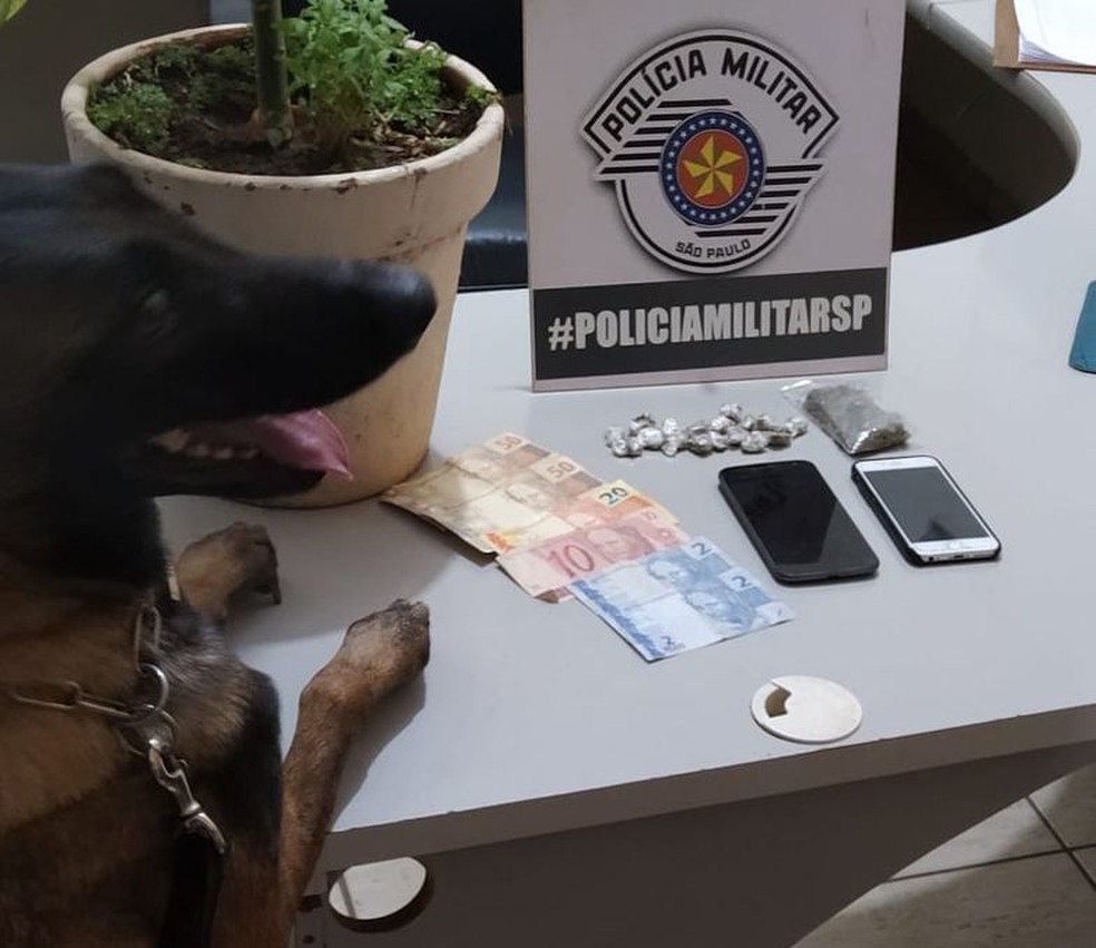 Polícia Militar apreendeu maconha, dinheiro e celulares' — Foto: Polícia Militar
