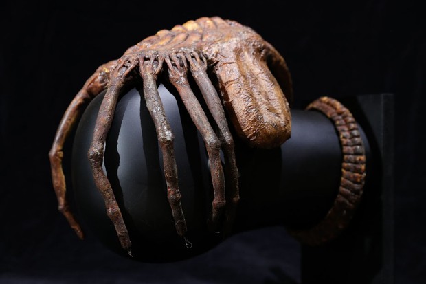 A special effects 'facehugger' from the 1979 film Alien (estimate ??50-70,000), during a preview of the forthcoming film and television memorabilia auction at the Prop Store head office near Rickmansworth. (Photo by Andrew Matthews/PA Images via Getty Ima (Foto: PA Images via Getty Images)