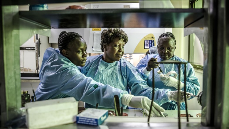 Membras do estudo piloto sobre a RAM desenvolvido pela FAO em um laboratório em Nairóbi, no Quênia (Foto: FAO/Luis Tato)
