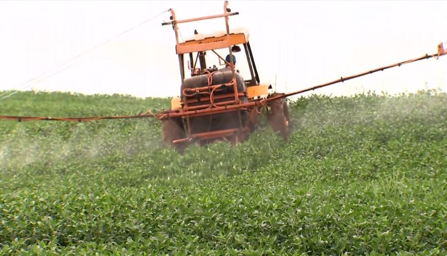 Uso do glifosato, agrotóxico mais vendido no mundo, é mantido no Brasil com restrições