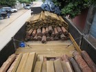 PMA apreende madeira nobre extraída de área indígena em MS