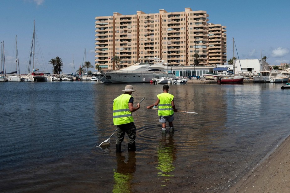 Trabalhadores fazem limpeza da lagoa Mar Menor, na Espanha
