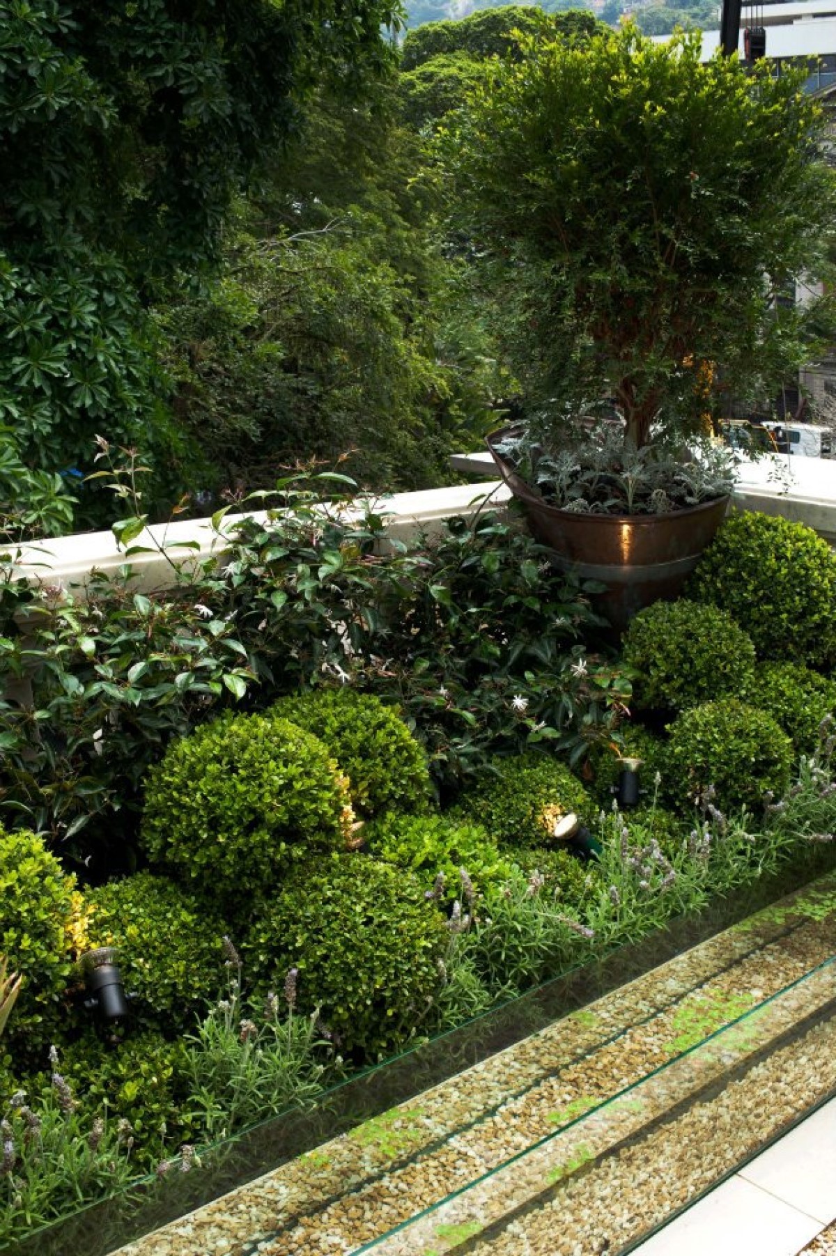 Os jardins filtrantes é uma alternativa para quem busca um sistema de baixo custo e de fácil manutenção (Foto:  Kitty Paranaguá / Divulgação )