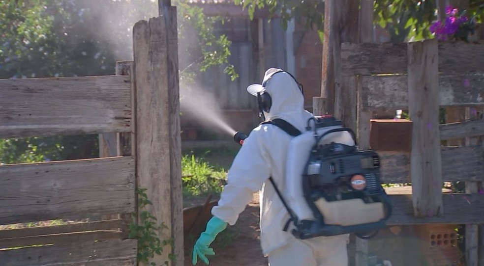 Bauru inicia nebulização noturna para combater mosquito da dengue — Foto: TV TEM/Reprodução