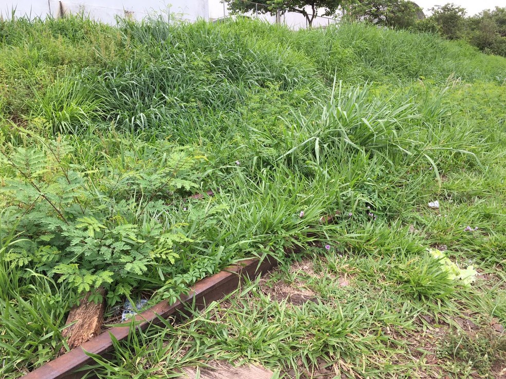 Ferrovia est&aacute; abandonada em Presidente Prudente (Foto: Wellington Roberto/G1)