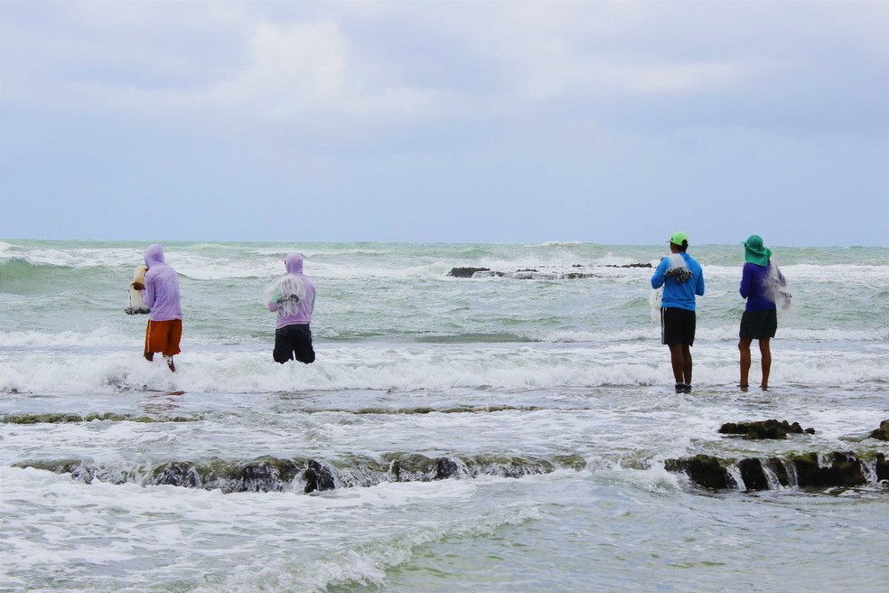 Pescadores na praia de Sibaúma, no litoral Sul potiguar  (Foto: Filipe Cordeiro )