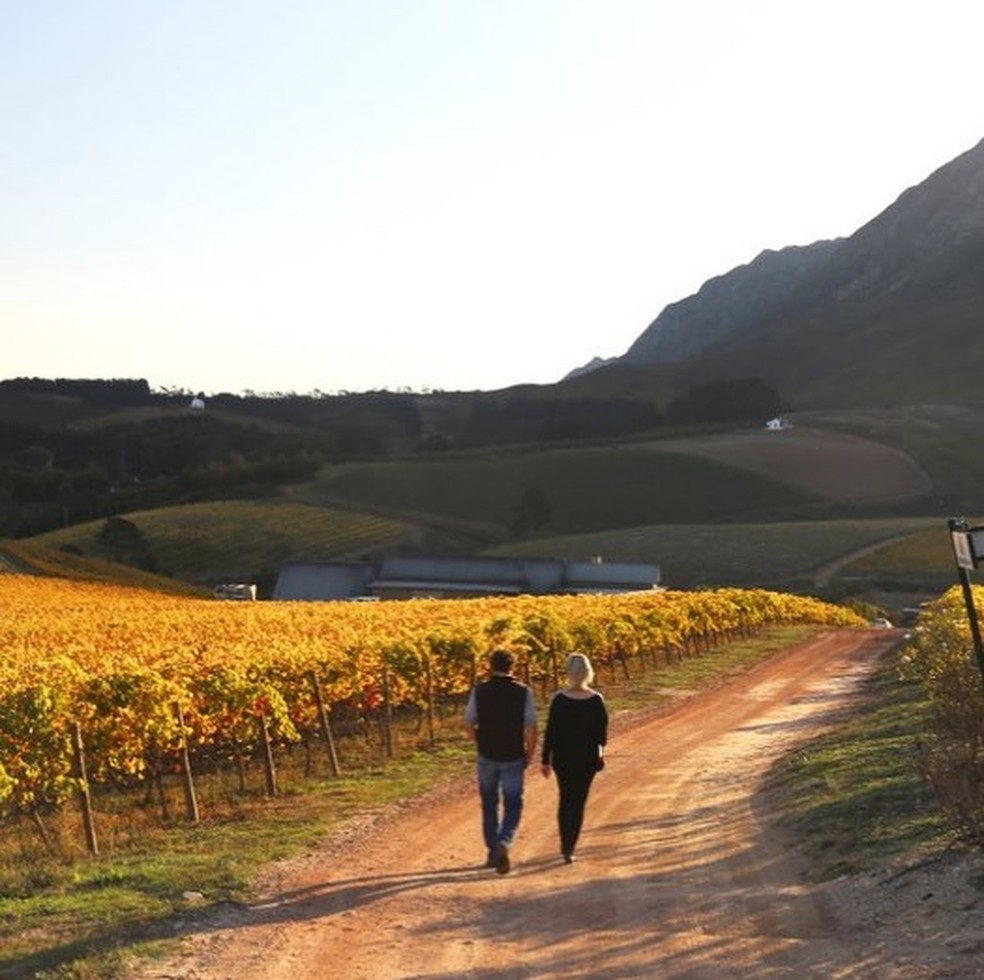  A Creation Wines, da África do Sul — Foto: Divulgação