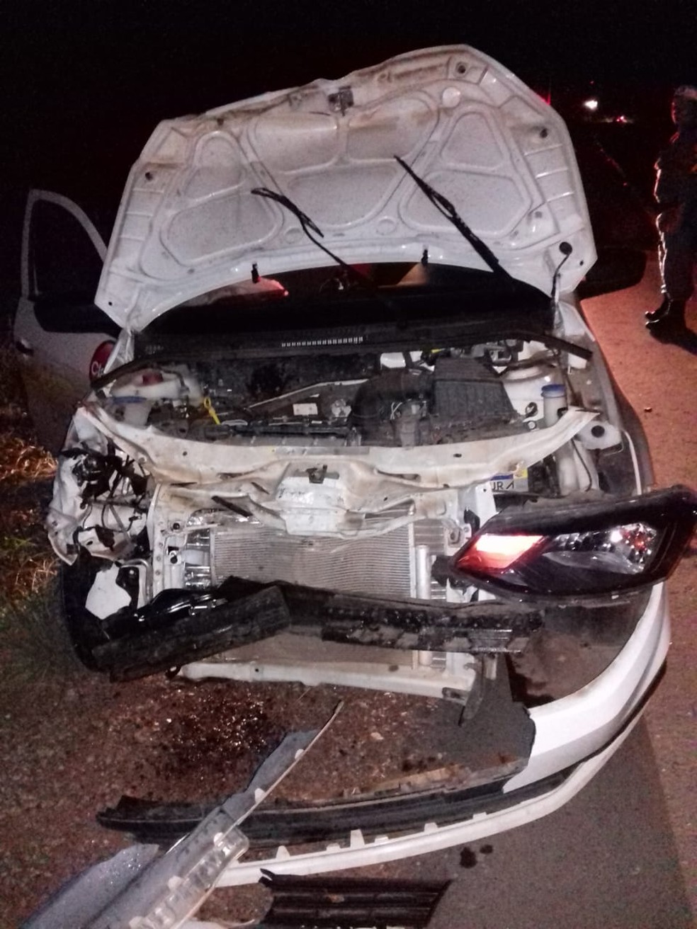Motorista não conseguiu desviar e anta morreu atropelada em Cuiabá (Foto: Batalhão de Trânsito da Polícia Militar de Mato Grosso)