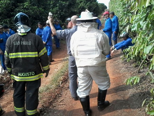 Bombeiros usaram equipamentos para ir ao local do ataque (Foto: Divulgação/ Bombeiros Tatuí)