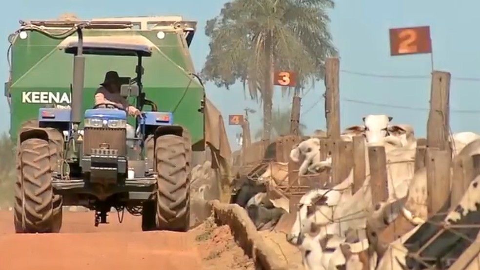A alimentação é oferecida cinco vezes ao vdia — Foto: Reprodução/TVCA