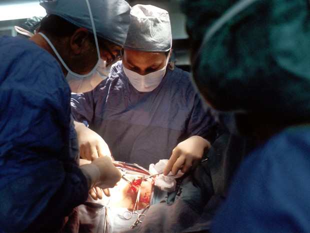 Pandemia faz transplantes de órgãos caírem 20% no Brasil (Foto: National Cancer Institute/Unsplash)
