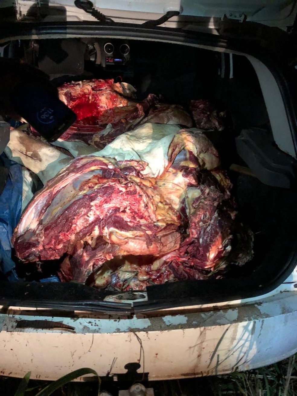 Carne furtada era transportada dentro de carro de passeio  Foto: Polcia Militar/Divulgao