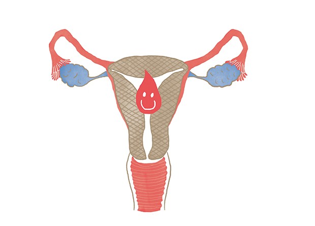 Enfermagem É Vida - O QUE FAZ A MULHER MENSTRUAR DUAS VEZES NO