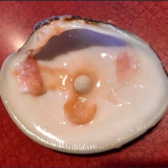 Homem morde molusco em jantar e descobre pérola: 'Achei que era meu dente' (Foto: reprodução/Today Show)