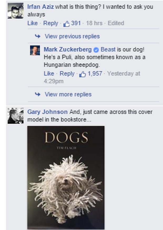 Mark Zuckerberg respondeu internautas no Facebook (Foto: Reprodução/Facebook)