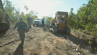 Flagrantes de desmatamento e denúncias de grilagem de terra: Profissão Repórter mostra a destruição do Cerrado; veja a íntegra