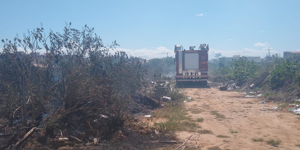 Incêndio atingiu área de matagal em Nova Parnamirim — Foto: Igor Jácome/G1