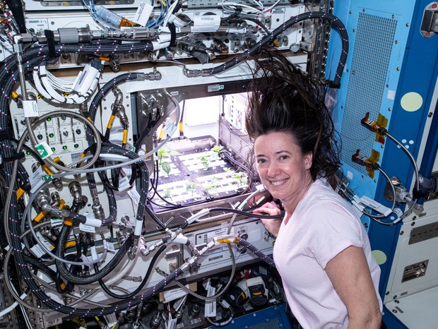 As pimentas na incubadora junto à astronauta Megan McArthur  (Foto: Nasa)