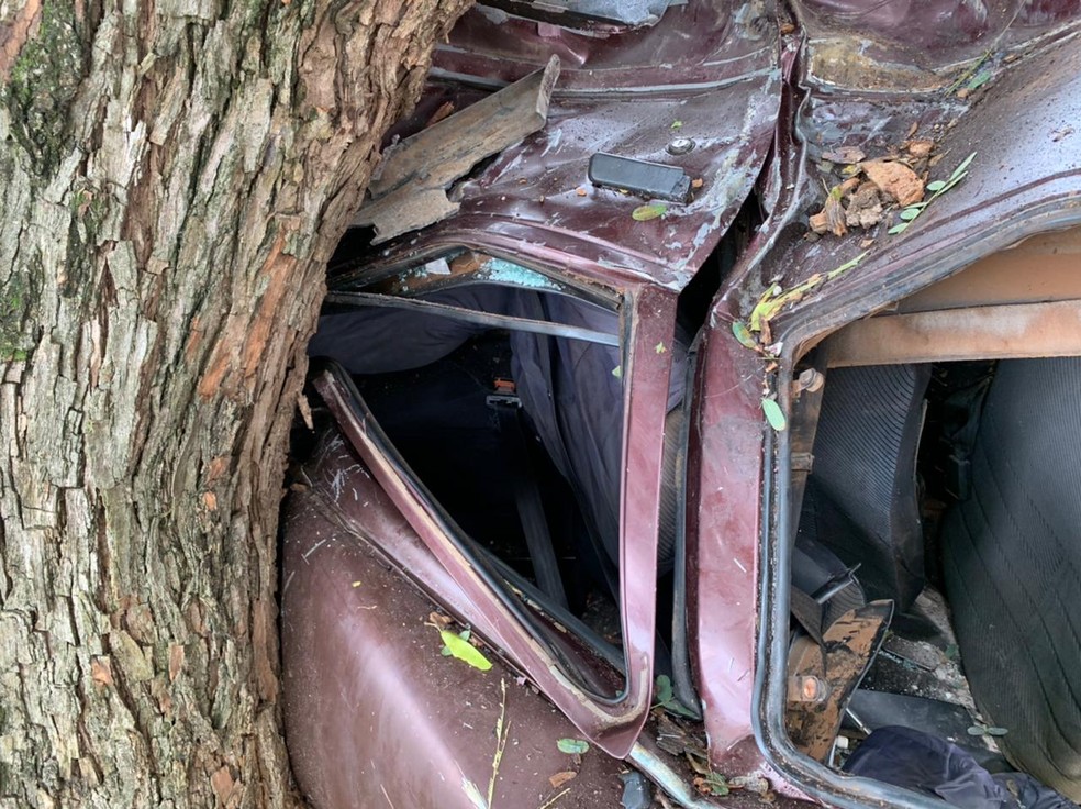 Segundo a PM, carro bateu em duas árvores até parar — Foto: César Culiche/TV TEM