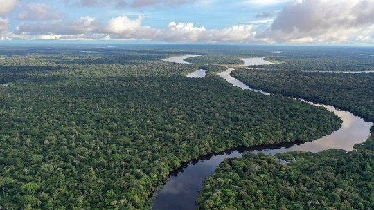 Decisão técnica do Ibama sobre exploração de petróleo no Amazonas vira problema político