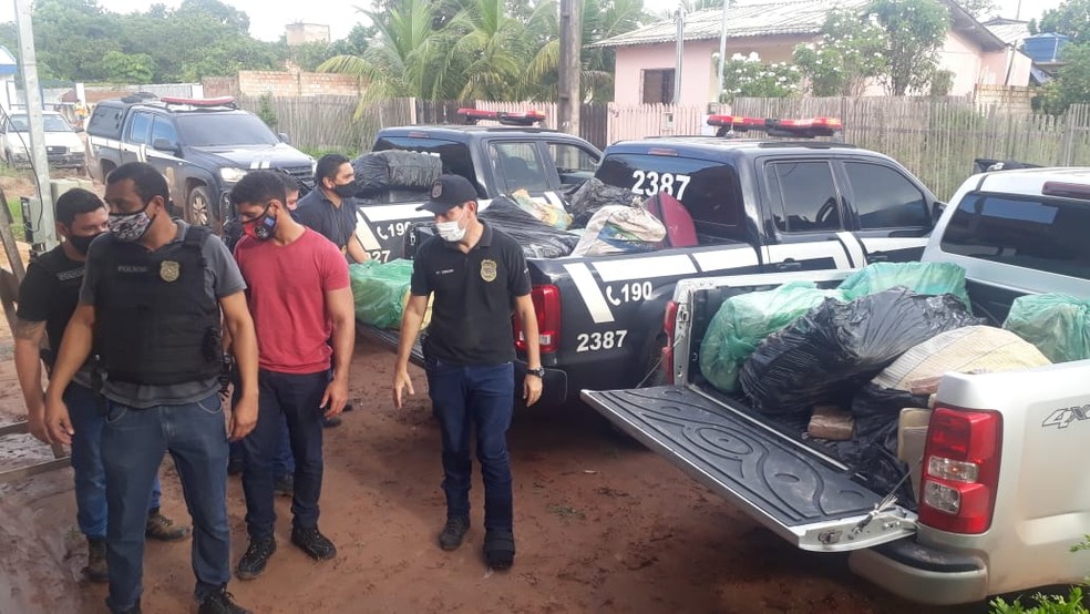 Operação da Polícia Civil apreendeu grande quantidade de drogas em residência no bairro Alvorada, em Santarém-PA — Foto: Aloísio Junior