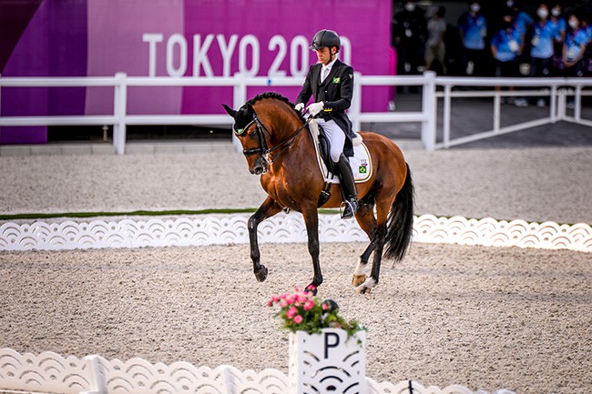 Entenda como o cavalo se movimenta – Adestramento Brasil