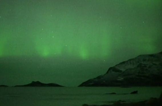 Jubartes vagam sob as luzes da aurora boreal na Noruega (Foto: Reprodução)