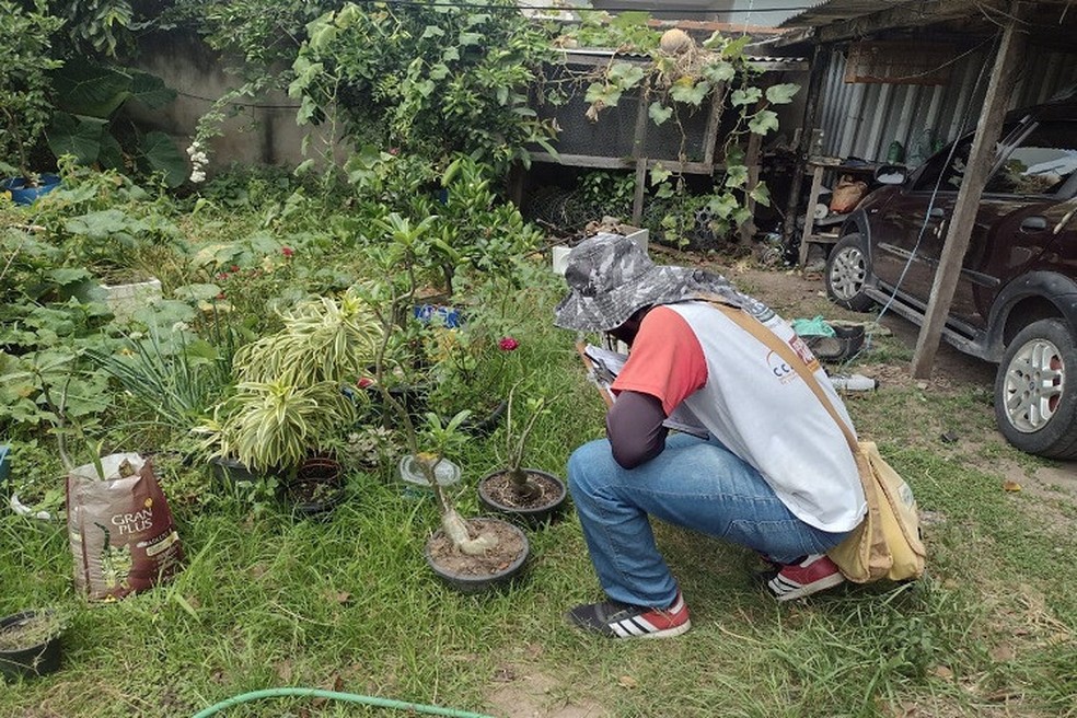 Ação dos agentes de combate às endemias em Campos ocorre nos bairros Donana e Esplanada nesta sexta — Foto: Secom/Prefeitura de Campos