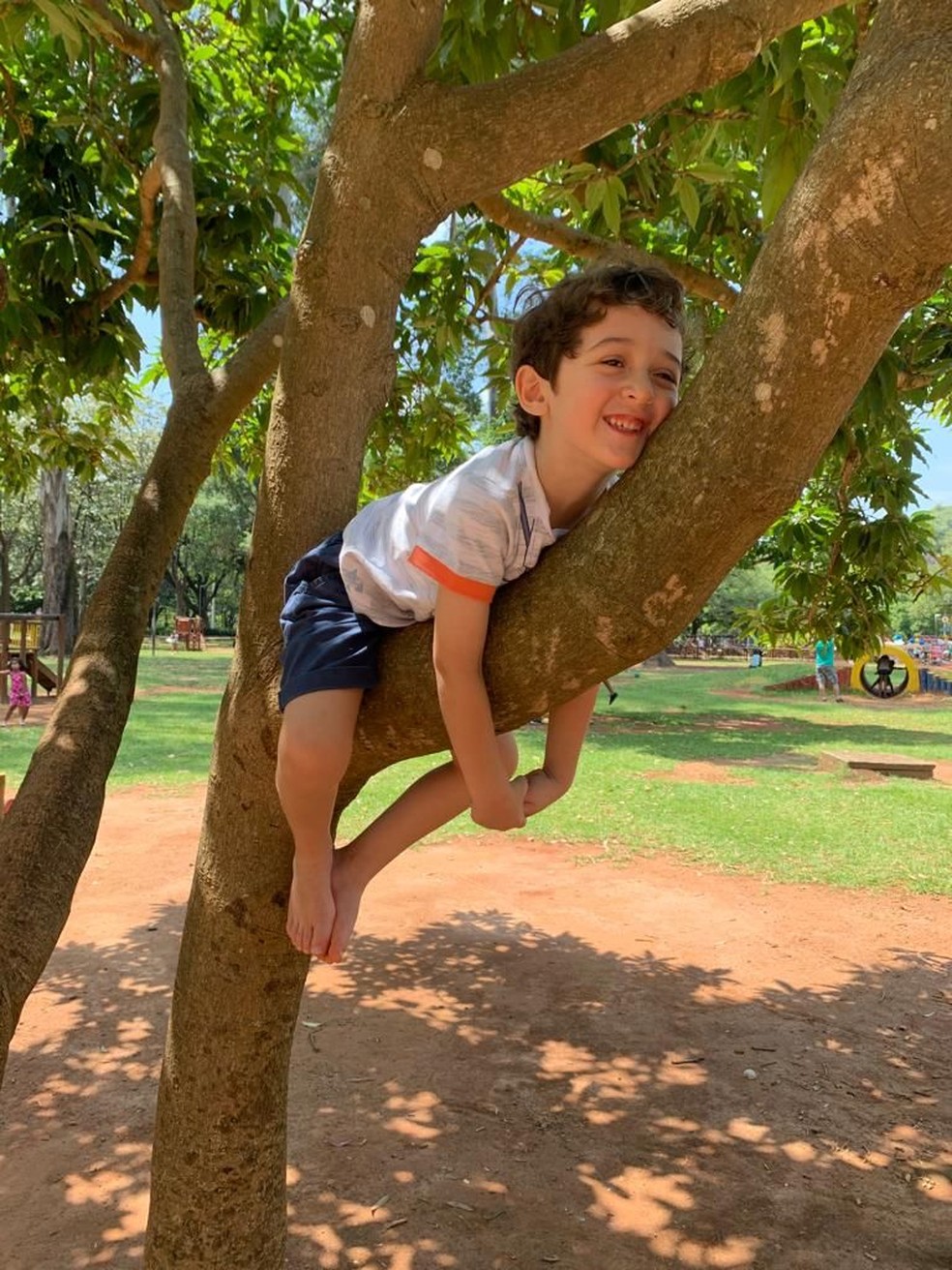 Bento  Olímpio Monteiro brinca em árvore no Parque Ibirapuera, na Zona Sul de SP — Foto: Arquivo pessoal